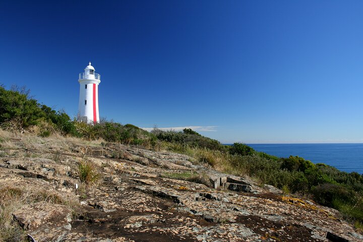 Billeder af Tasmanian Wonders Day Trip: Privat kysttur