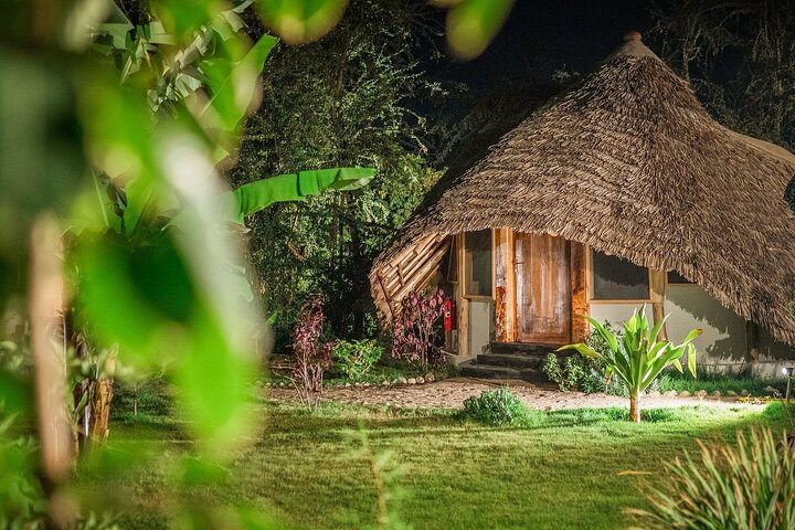 2-dagers privat luksussafari: Tarangire og Ngorongoro Tanzania