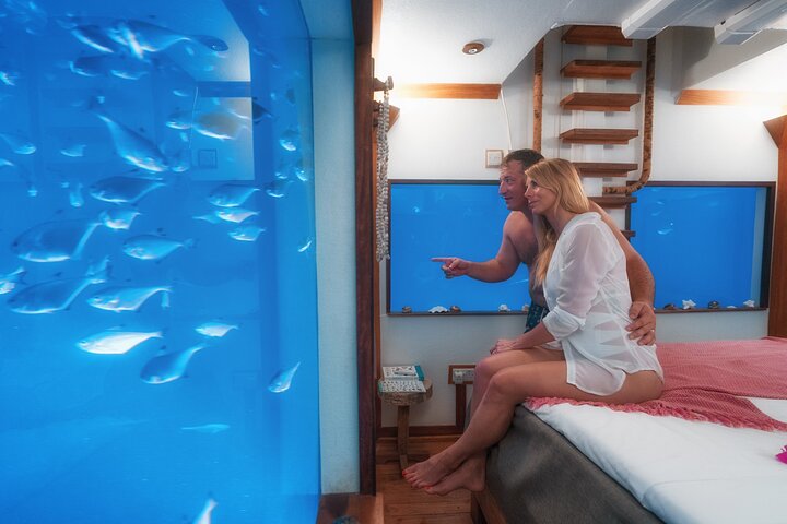 7 jours d’expérience exotique de lune de miel dans la chambre sous-marine de Pemba