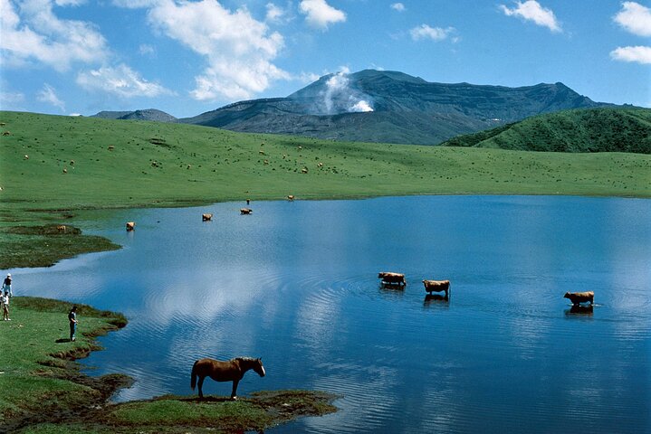 Von Kumamoto : Berg Aso und Takachiho All-inclusive Private Tour