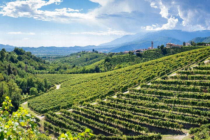 Valdobbiadene PROSECCO Privat tur och smak med Sommelier
