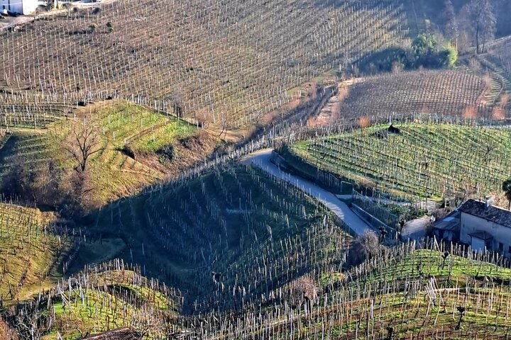 Valdobbiadene PROSECCO Privat tur och smak med Sommelier