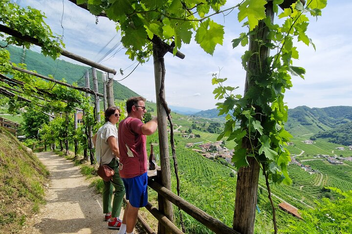Valdobbiadene PROSECCO Privat tur och smak med Sommelier