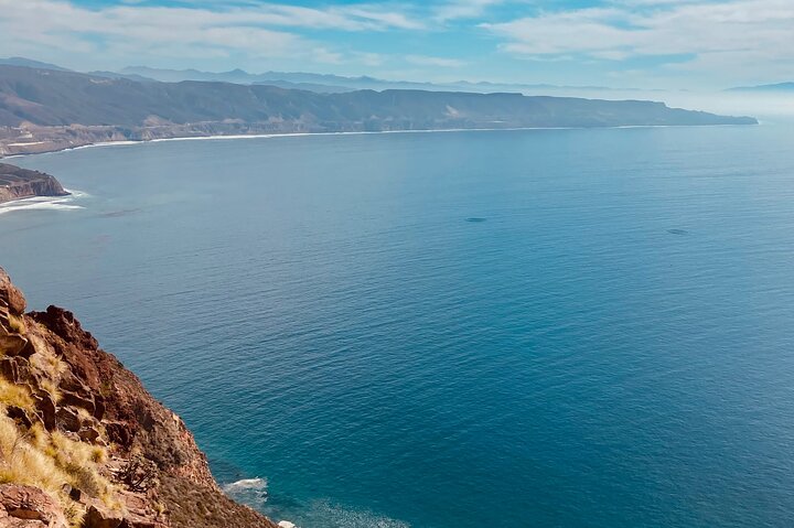 Kystvin rejse fra Tijuana til Valle de Guadalupe