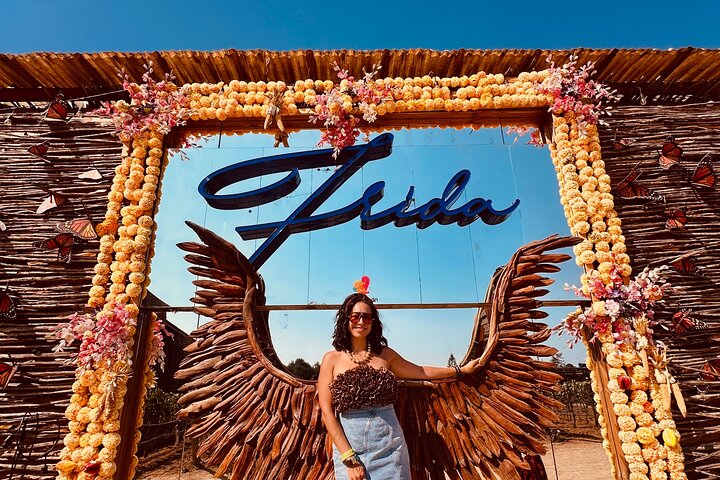 Kystvin rejse fra Tijuana til Valle de Guadalupe