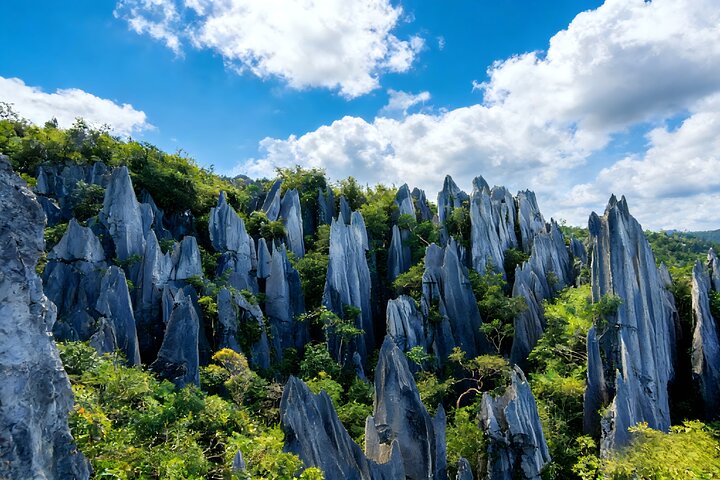 Tour privato di Kunming alla foresta di pietra e alla città antica di Chengzi