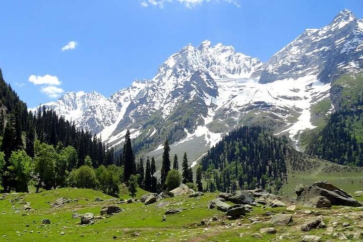 Gita di un giorno a Sonamarg ai ghiacciai dei prati Fiumi e valli