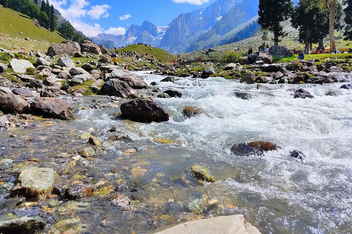Gita di un giorno a Sonamarg ai ghiacciai dei prati Fiumi e valli