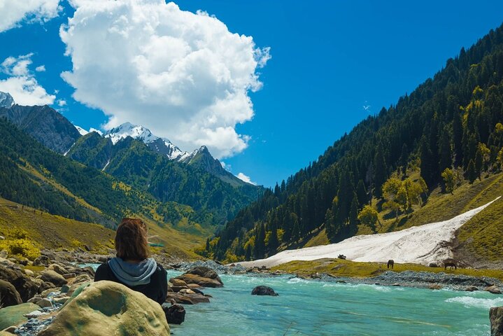Gita di un giorno a Sonamarg ai ghiacciai dei prati Fiumi e valli