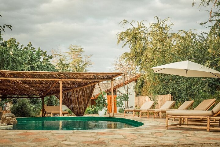 2-dagers privat luksussafari: Tarangire og Ngorongoro Tanzania