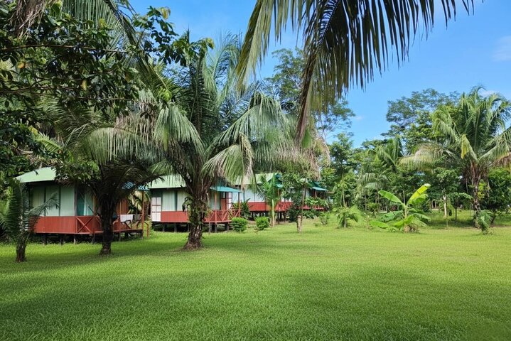 Tambopata. Lago Sandoval y collpa de loros, 3 días 2 noches