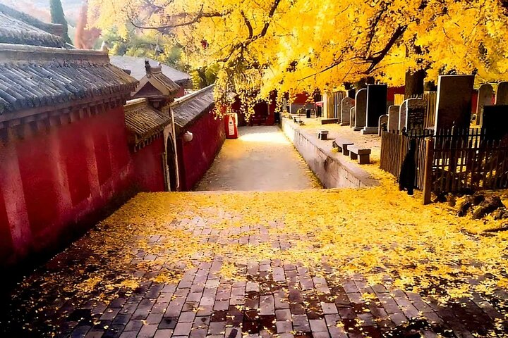 All Inclusive Luoyang Private Day Tour till Shaolin Temple och Longmen Grottoes