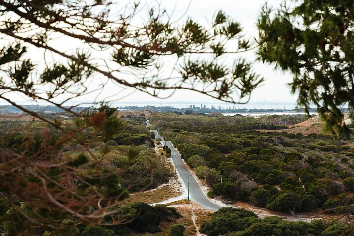Rottnest Island Grand Tour, incluindo almoço e passeio de trem histórico