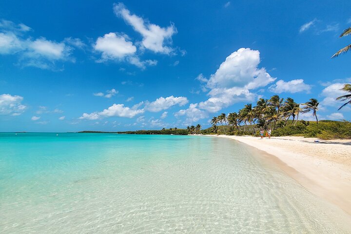 Tour di Contoy Island con paradiso incontaminato e giornata sulla spiaggia