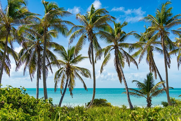 Tour di Contoy Island con paradiso incontaminato e giornata sulla spiaggia