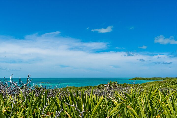 Tour di Contoy Island con paradiso incontaminato e giornata sulla spiaggia