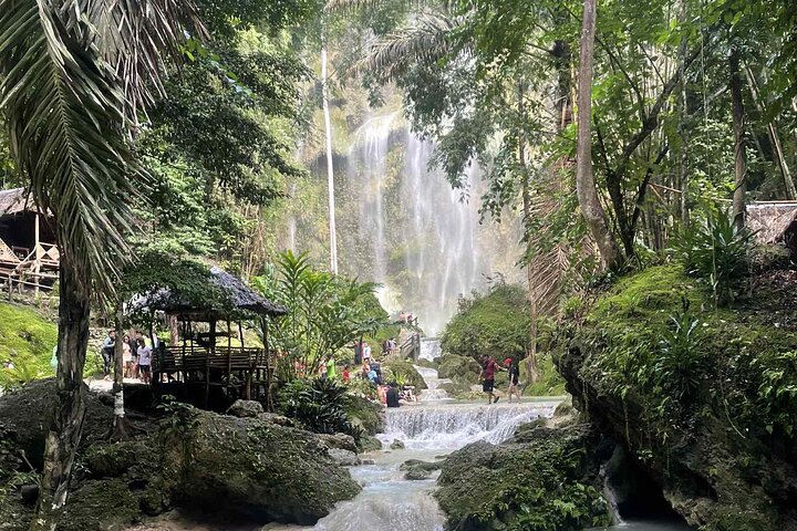 Cebu: Oslob Whale Sharks, Tumalog Falls & Moalboal Sardine Run