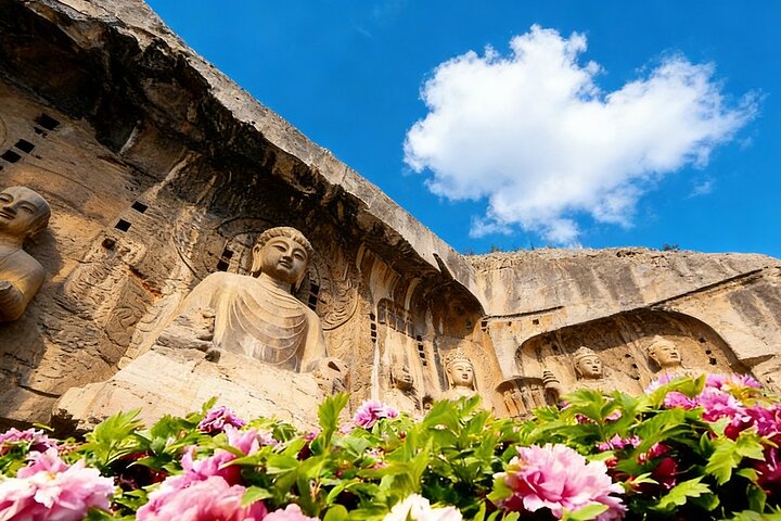 All Inclusive Luoyang Private Day Tour till Shaolin Temple och Longmen Grottoes