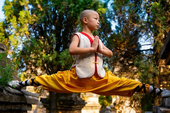 All Inclusive Luoyang Private Day Tour till Shaolin Temple och Longmen Grottoes
