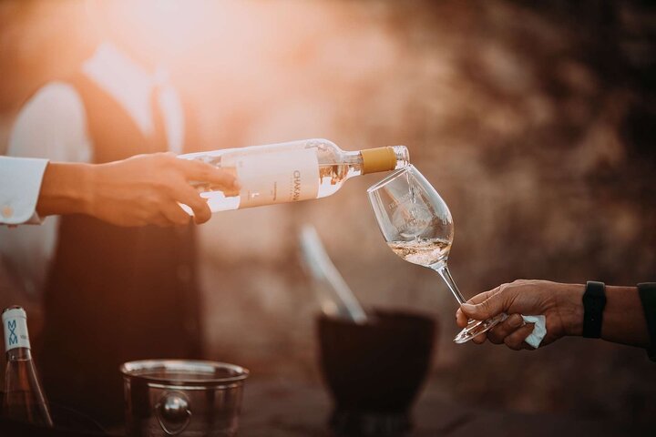 Fuld-dags Stellenbosch og Franschhoek Wine Tour fra Cape Town
