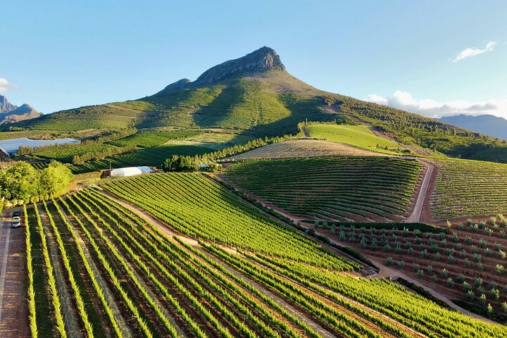 Fuld-dags Stellenbosch og Franschhoek Wine Tour fra Cape Town