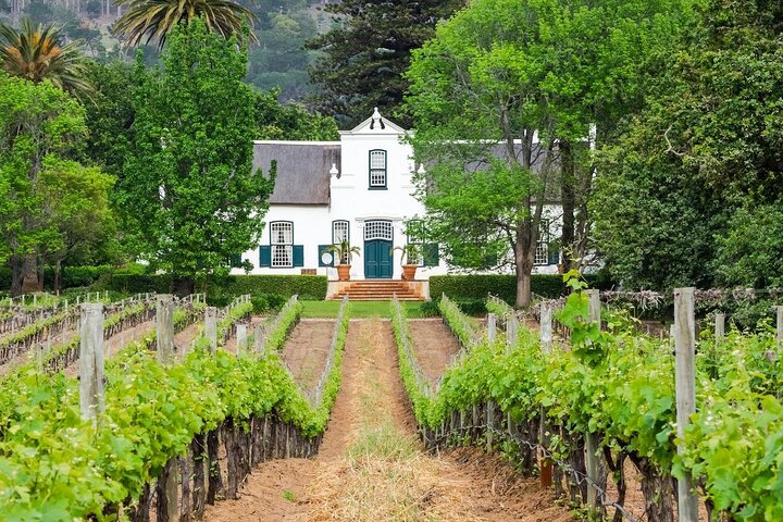 Excursión de medio día a Stellenbosch Winelands desde Ciudad del Cabo