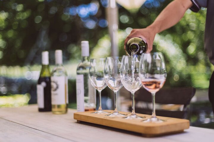 Excursión de medio día a Stellenbosch Winelands desde Ciudad del Cabo