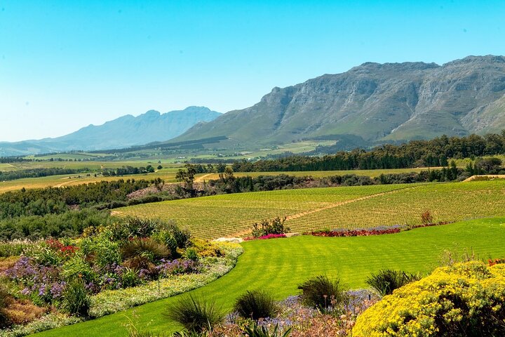 Excursión de medio día a Stellenbosch Winelands desde Ciudad del Cabo