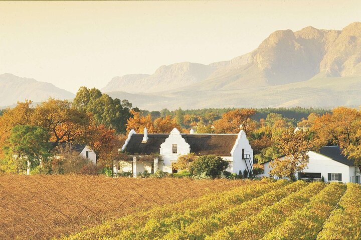 Excursión de medio día a Stellenbosch Winelands desde Ciudad del Cabo