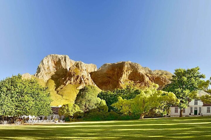 Excursión de medio día a Stellenbosch Winelands desde Ciudad del Cabo