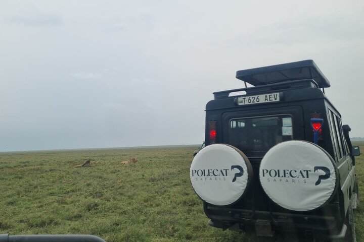2-dagers privat luksussafari: Tarangire og Ngorongoro Tanzania