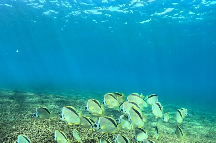 Excursão privada 9 Bayes of Huatulco a San Agustin + esportes Pesca