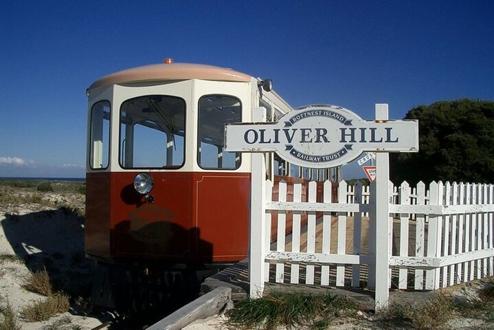Rottnest Island Grand Tour, incluindo almoço e passeio de trem histórico