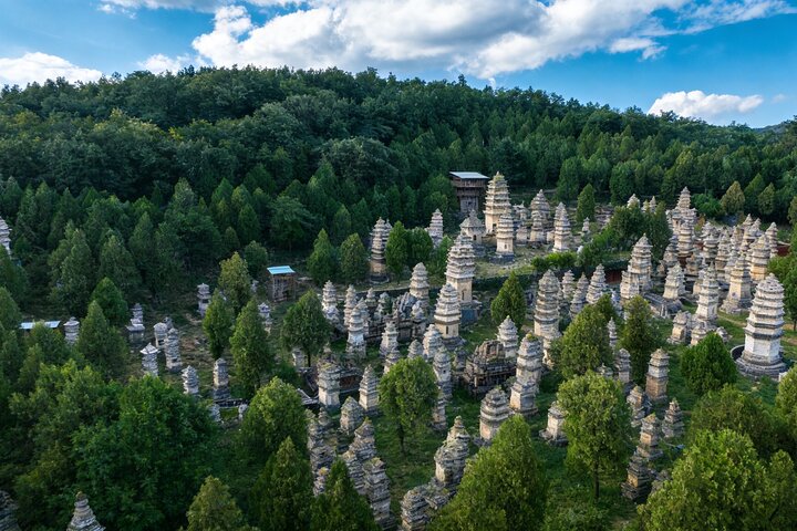 All Inclusive Luoyang Private Day Tour till Shaolin Temple och Longmen Grottoes