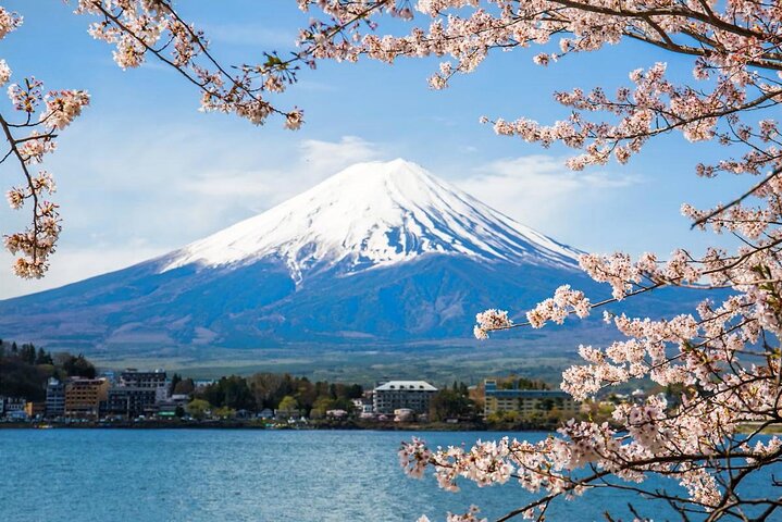 Tour en minibús (grupo pequeño) desde Tokio