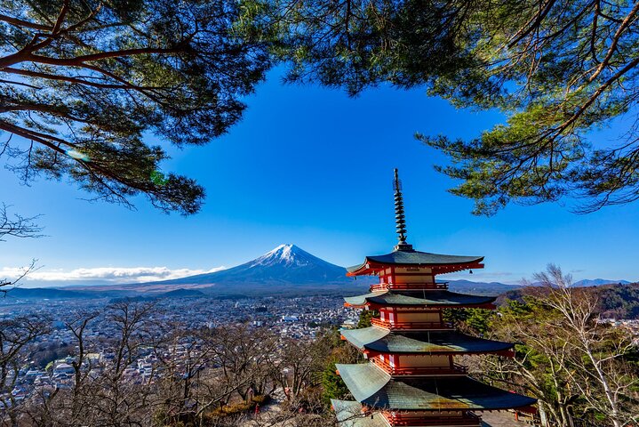 Tour en minibús (grupo pequeño) desde Tokio