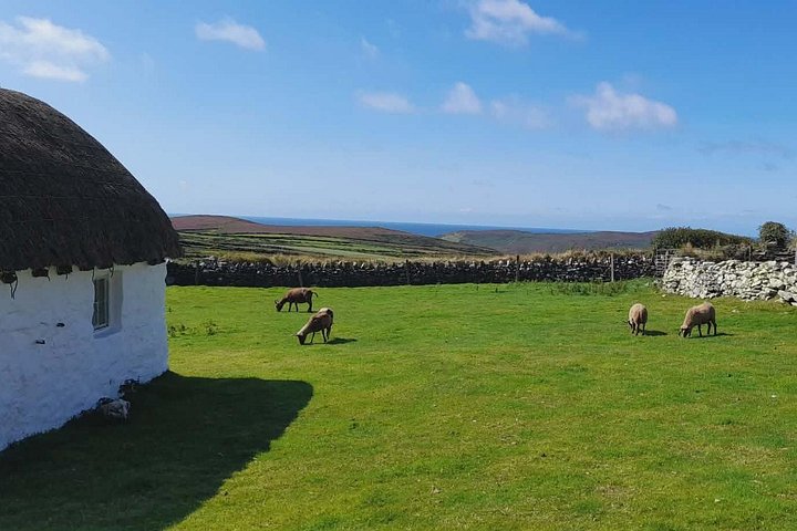 Isle of Man Southern Discovery Tour - Halbtagesausflug