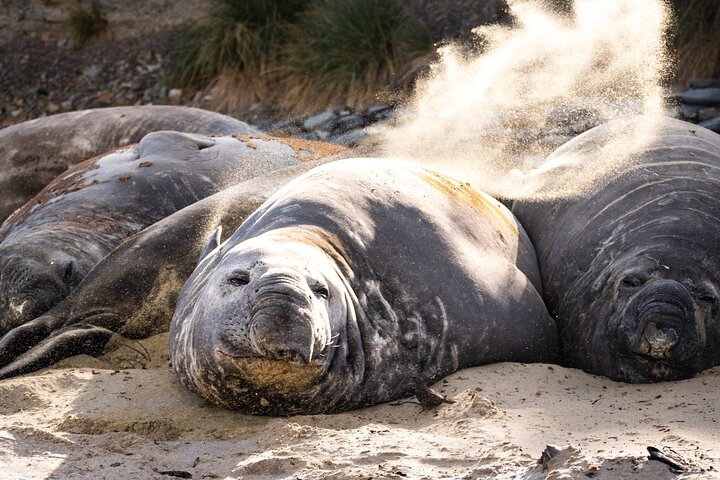 Sanley and Bertha's Beach Tours