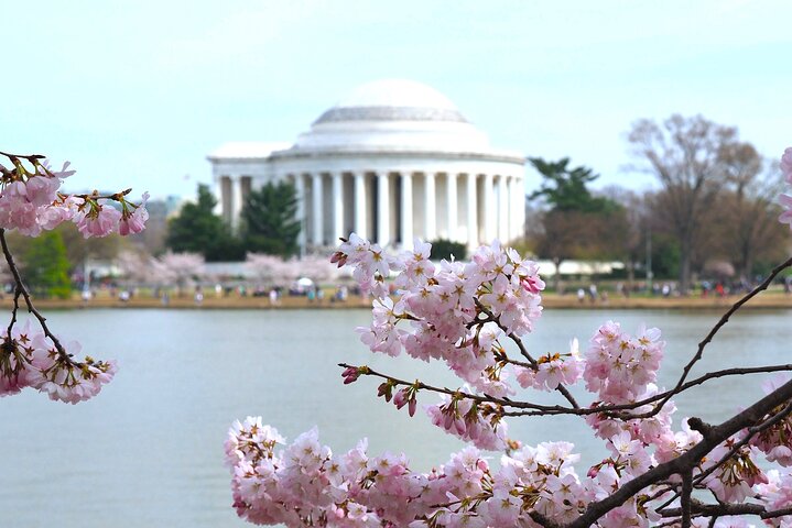 DC en un día : 10 + Monumentos, Crucero en barco, National Mall, Entradas
