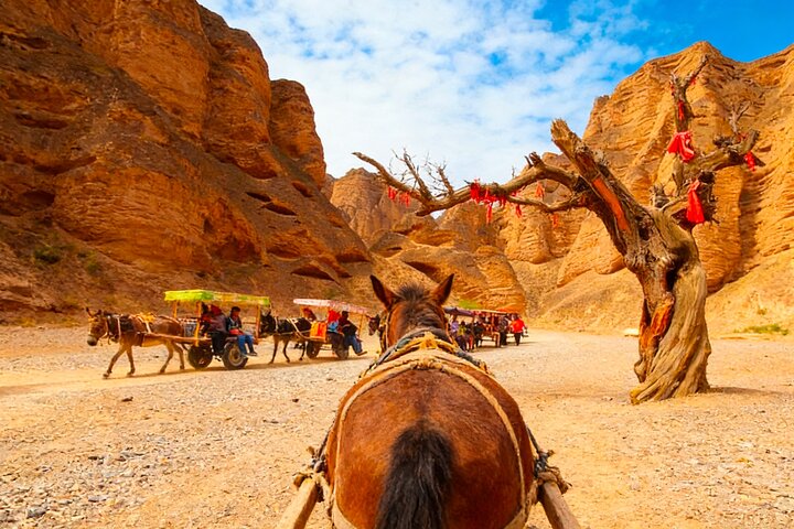 Excursão privada de um dia em Lanzhou à Floresta de Pedra do Rio Amarelo