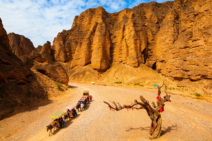 Excursão privada de um dia em Lanzhou à Floresta de Pedra do Rio Amarelo