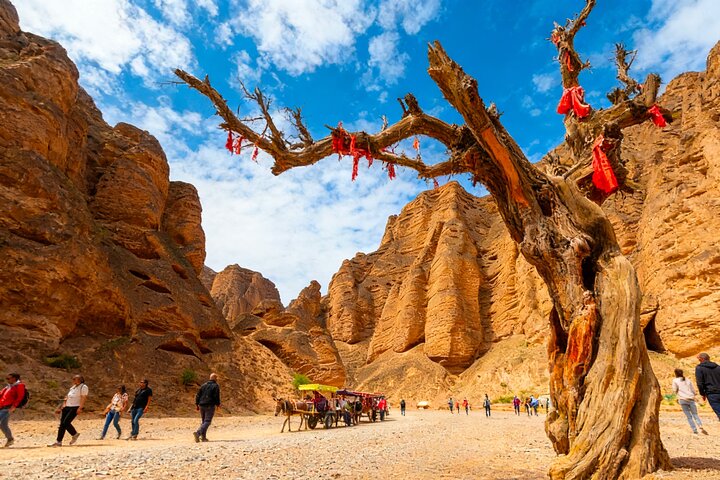 Excursão privada de um dia em Lanzhou à Floresta de Pedra do Rio Amarelo
