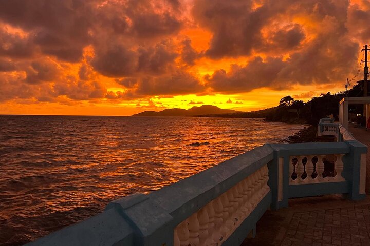 Vieques Bio Bay Tour och stranddagstur från San Juan med färja