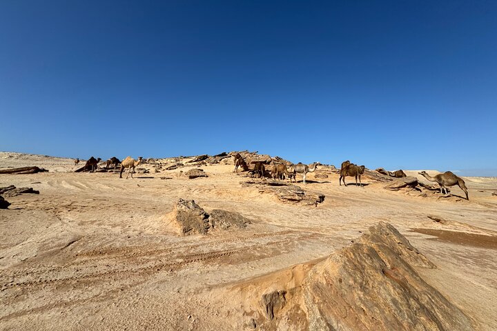 Avventura in 4×4 nel deserto di Dakhla – Duna Bianca e Oasi di Imlili