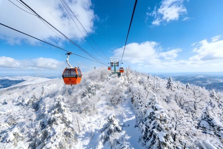 Viagem diurna privada de Qingdao à Grande Muralha de Mutianyu com teleférico ou passeio de tobogã