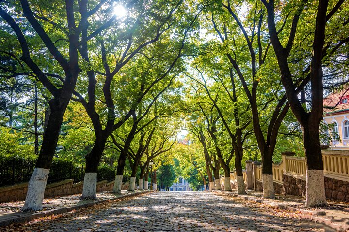Tour Privado de Qingdao : Montaña de Laoshan&Ciudad personalizada Puntos destacados