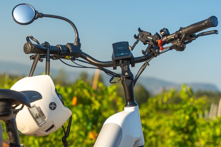 Visite du vin de Kelowna en vélo électrique avec dégustations, déjeuner et vue sur l'Okanagan