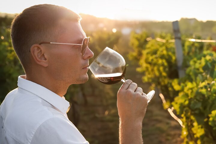 Visite du vin de Kelowna en vélo électrique avec dégustations, déjeuner et vue sur l'Okanagan