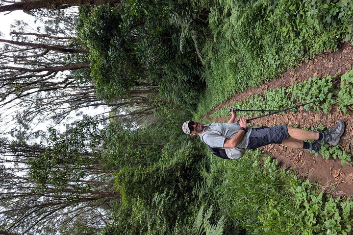 Experiencia de un día en el Kilimanjaro por KILITA SAFARIS
