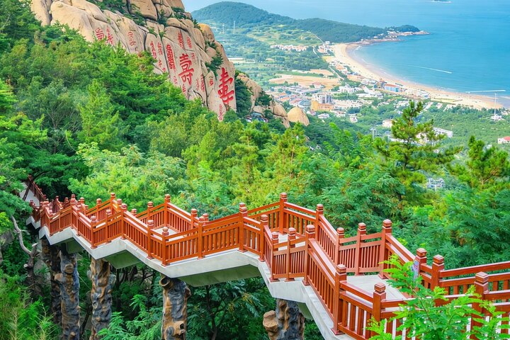 Tour privato di un giorno a Qingdao sul Monte Laoshan con pranzo e funivia